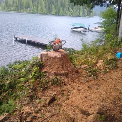 STUMP GRINDING